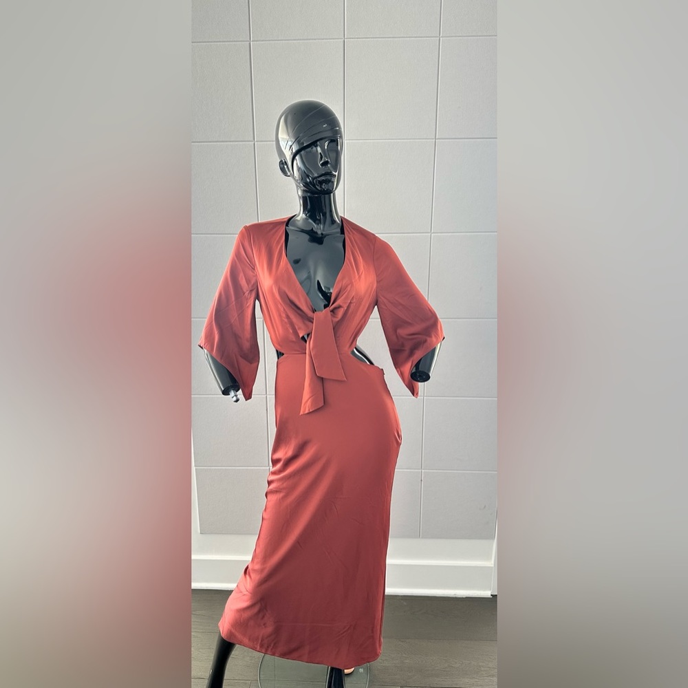 EXPRESS Cognac Cocktail Dress